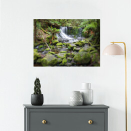 Plakat Russell Falls, Mount Field National Park, Tasmania, Australia