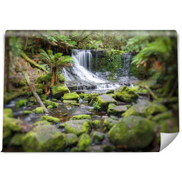 Fototapeta winylowa zmywalna Russell Falls, Mount Field National Park, Tasmania, Australia