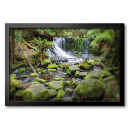 Obraz w ramie Russell Falls, Mount Field National Park, Tasmania, Australia