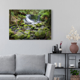 Obraz na płótnie Russell Falls, Mount Field National Park, Tasmania, Australia