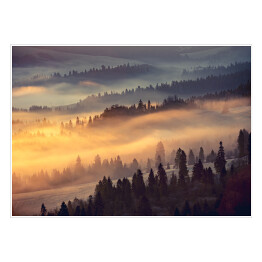 Plakat samoprzylepny Ciemny las przecinany złocistymi promieniami słońca