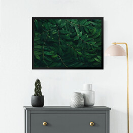 Obraz w ramie Ozdobny układ z ciemnych zielonych liści