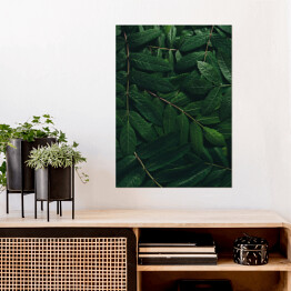 Plakat Rozłożone tropikalne liście