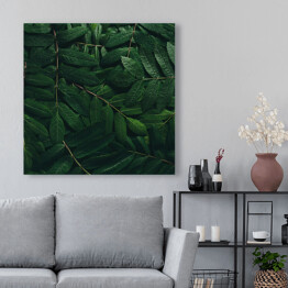 Obraz na płótnie Rozłożone tropikalne liście