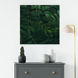 Plakat samoprzylepny Rozłożone tropikalne liście
