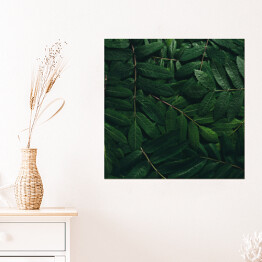 Plakat samoprzylepny Rozłożone tropikalne liście