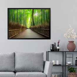Obraz w ramie Bambusowy las Arashiyama w pobliżu Kyoto, Japonia