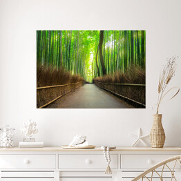 Plakat Bambusowy las Arashiyama w pobliżu Kyoto, Japonia