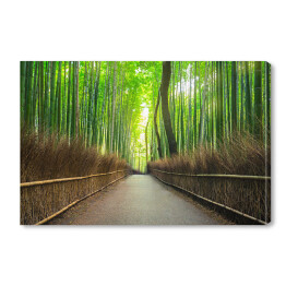 Obraz na płótnie Bambusowy las Arashiyama w pobliżu Kyoto, Japonia