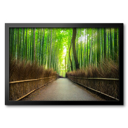 Obraz w ramie Bambusowy las Arashiyama w pobliżu Kyoto, Japonia