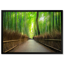 Plakat w ramie Bambusowy las Arashiyama w pobliżu Kyoto, Japonia