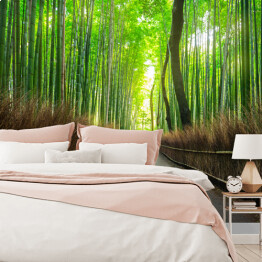 Fototapeta winylowa zmywalna Bambusowy las Arashiyama w pobliżu Kyoto, Japonia