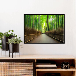 Plakat w ramie Bambusowy las Arashiyama w pobliżu Kyoto, Japonia