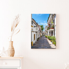 Obraz na płótnie Typowa ulica starego miasta w Marbelli w Hiszpanii