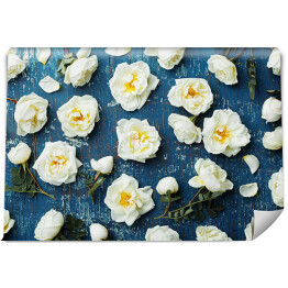 Fototapeta winylowa zmywalna Białe kwiaty róż na ciemnym tle