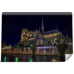 Notre Dame w nocy