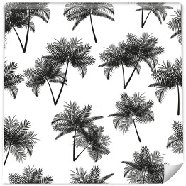 Tapeta winylowa zmywalna w rolce Czarne palmy na białym tle