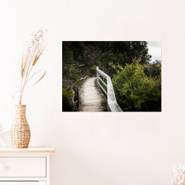 Plakat samoprzylepny Drewniany most wzdłuż lasu 