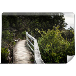Fototapeta Drewniany most wzdłuż lasu 