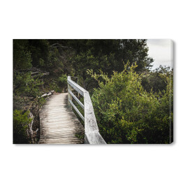 Obraz na płótnie Drewniany most wzdłuż lasu 