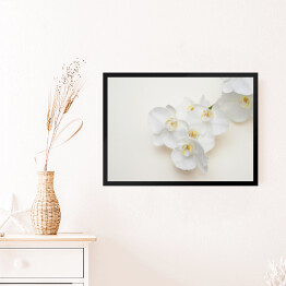 Obraz w ramie Romantyczna gałąź białej orchidei