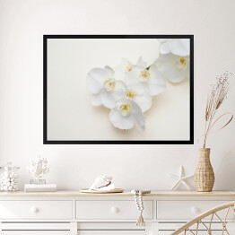 Obraz w ramie Romantyczna gałąź białej orchidei