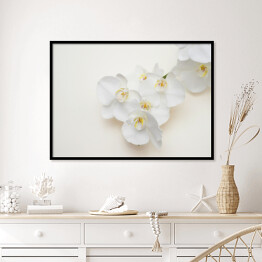 Plakat w ramie Romantyczna gałąź białej orchidei
