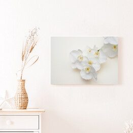 Obraz na płótnie Romantyczna gałąź białej orchidei