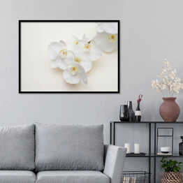 Plakat w ramie Romantyczna gałąź białej orchidei