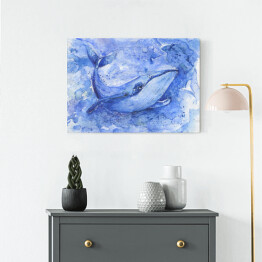 Akwarela - płetwal błękitny