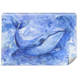 Akwarela - płetwal błękitny
