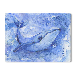 Obraz na płótnie Akwarela - płetwal błękitny