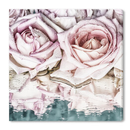 Obraz na płótnie Piękne delikatne róże na lustrze pokrytym kroplami wodą