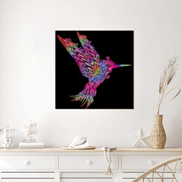 Plakat samoprzylepny Neonowy koliber na czarnym tle
