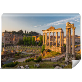 Fototapeta Forum Romanum w świetle porannych promieni słońca