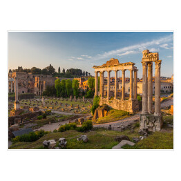 Plakat samoprzylepny Forum Romanum w świetle porannych promieni słońca