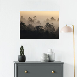 Plakat samoprzylepny Wschód słońca w lesie we mgle w Tajlandii