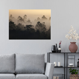 Plakat samoprzylepny Wschód słońca w lesie we mgle w Tajlandii