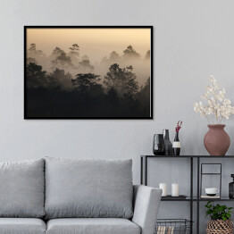 Plakat w ramie Wschód słońca w lesie we mgle w Tajlandii