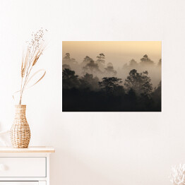 Plakat Wschód słońca w lesie we mgle w Tajlandii