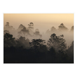 Plakat Wschód słońca w lesie we mgle w Tajlandii