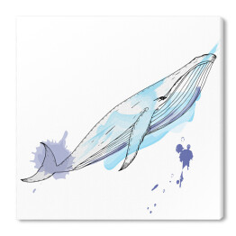Obraz na płótnie Malowana akwarela - błękitny wieloryb