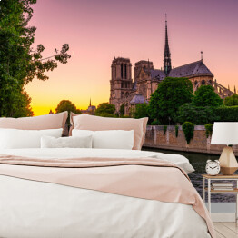 Fototapeta Widok podczas zachodu słońca na Katedrę Notre Dame w Paryżu, Francja