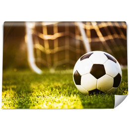 Fototapeta Zbliżenie na piłkę nożną na zielonej trawie