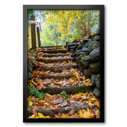 Obraz w ramie Skaliste stopnie pokryte żółtymi liśćmi w jesiennym parku 