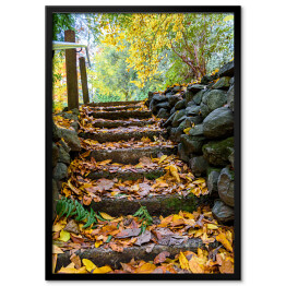 Plakat w ramie Skaliste stopnie pokryte żółtymi liśćmi w jesiennym parku 