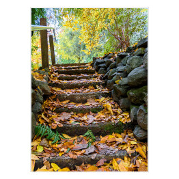Plakat samoprzylepny Skaliste stopnie pokryte żółtymi liśćmi w jesiennym parku 