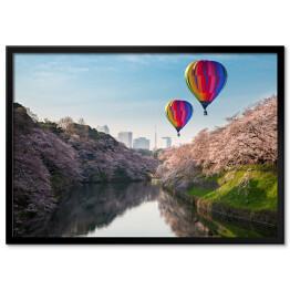 Plakat w ramie Lot balonem nad kwitnącymi japońskimi wiśniami