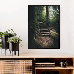 Obraz w ramie Schodki w lesie pokryte mchem