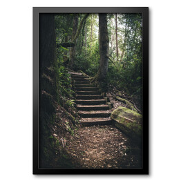 Obraz w ramie Schodki w lesie pokryte mchem